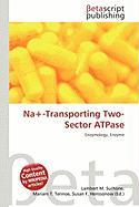 Na+-Transporting Two-Sector ATPase