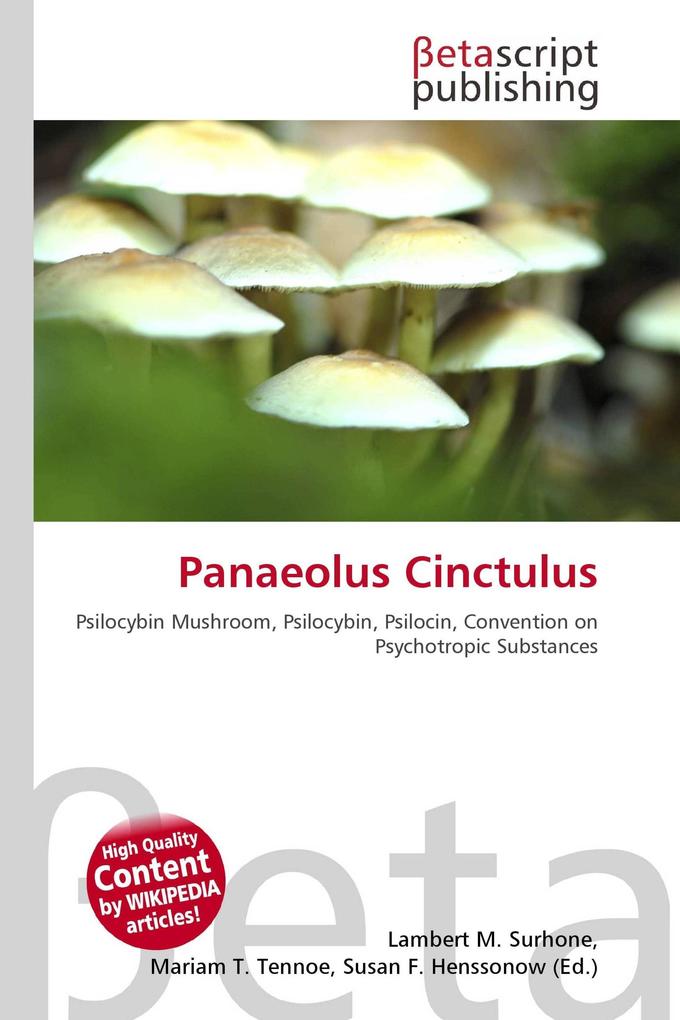 Panaeolus Cinctulus