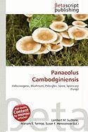 Panaeolus Cambodginiensis