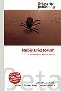Nabis Ericetorum