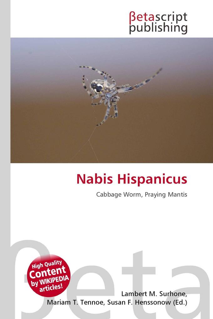 Nabis Hispanicus