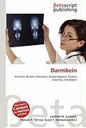 Darmbein