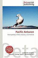 Pacific Antwren