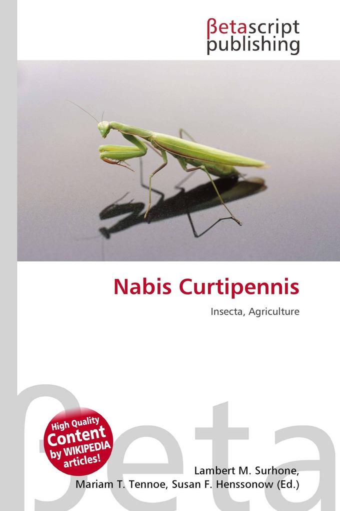 Nabis Curtipennis