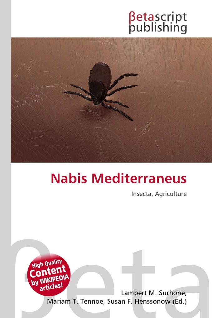 Nabis Mediterraneus