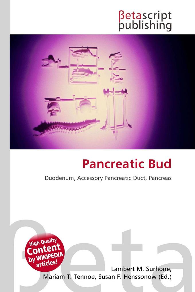 Pancreatic Bud