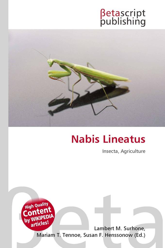 Nabis Lineatus