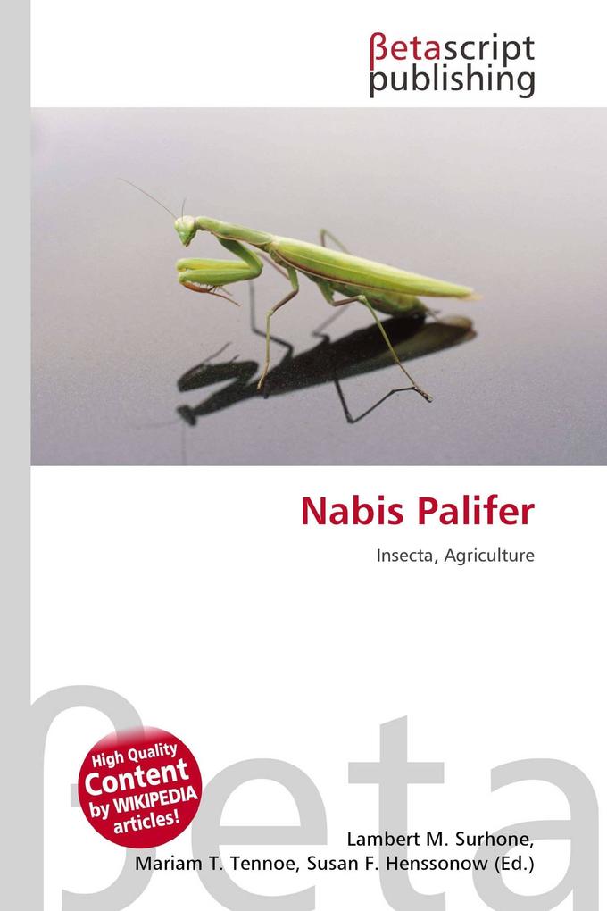 Nabis Palifer