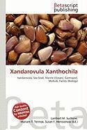 Xandarovula Xanthochila