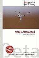 Nabis Alternatus