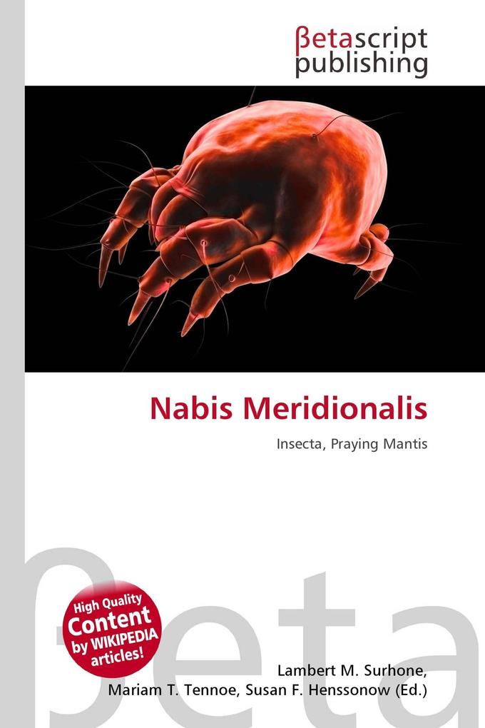 Nabis Meridionalis