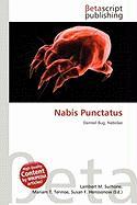 Nabis Punctatus