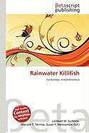 Rainwater Killifish