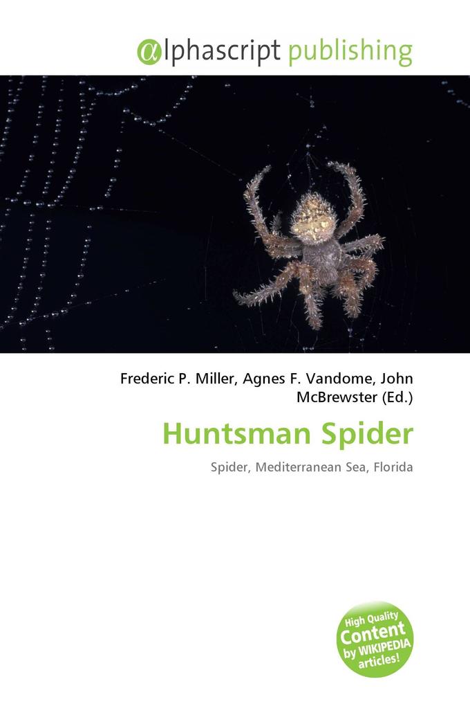 Huntsman Spider