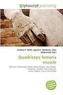 Quadriceps femoris muscle