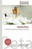 Xylotachina