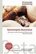 Xymenopsis Buccineus