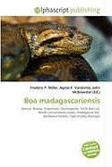 Boa madagascariensis