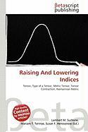 Raising And Lowering Indices