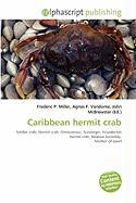 Caribbean hermit crab
