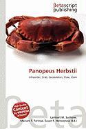 Panopeus Herbstii