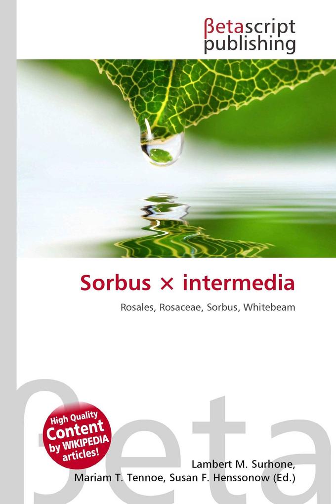 Sorbus × intermedia