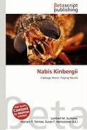 Nabis Kinbergii