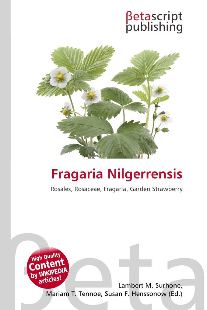 Fragaria Nilgerrensis
