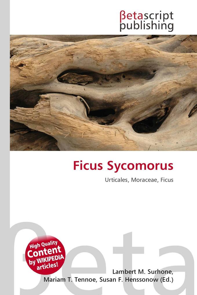 Ficus Sycomorus