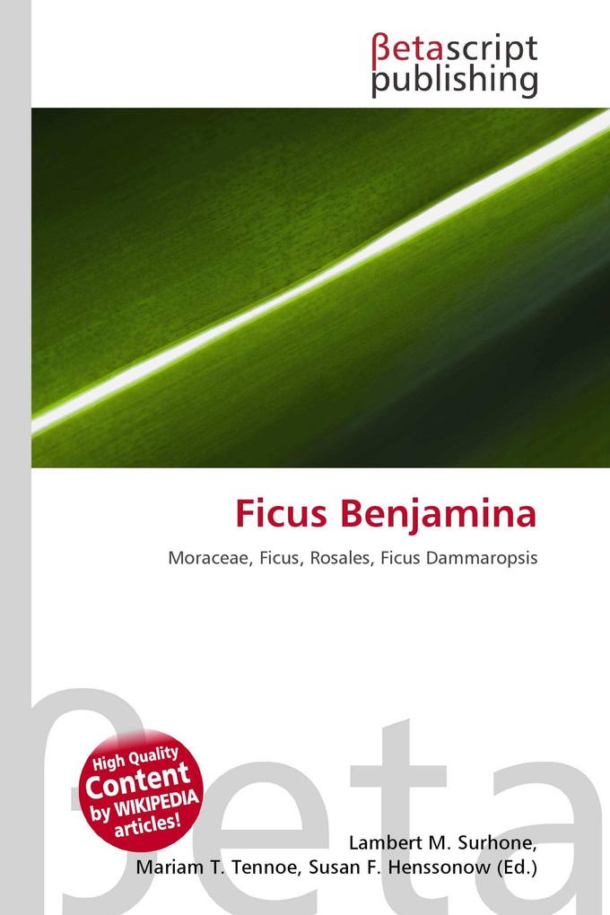 Ficus Benjamina