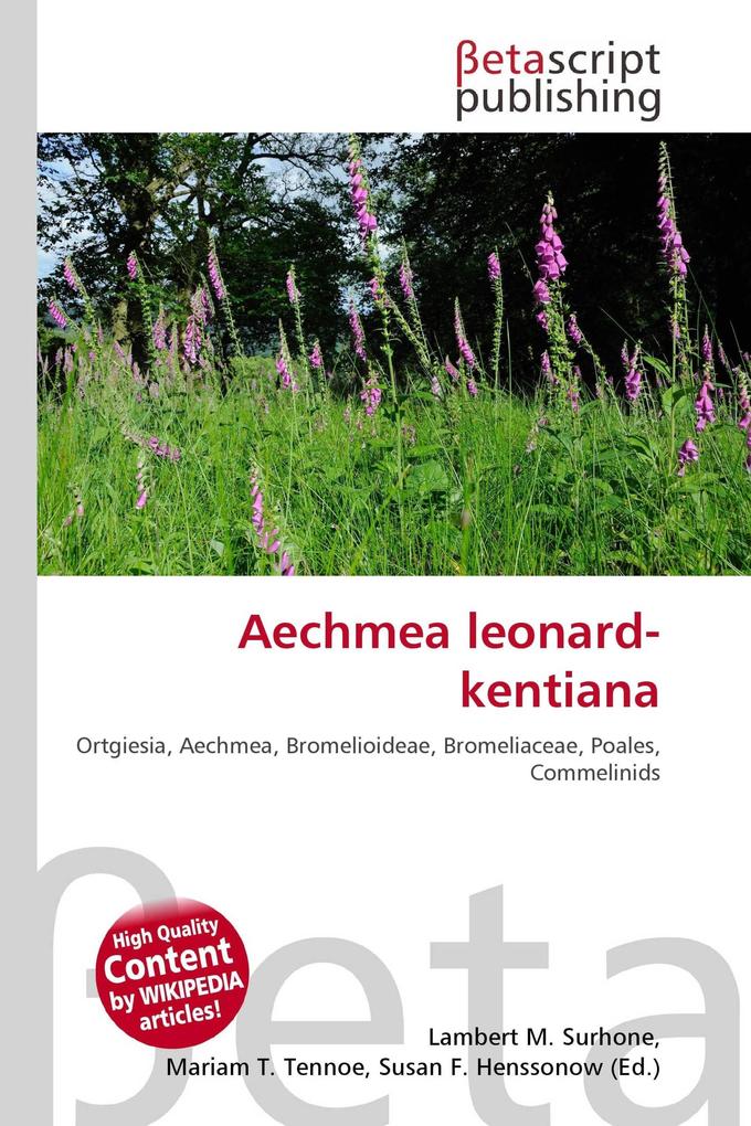 Aechmea leonard-kentiana