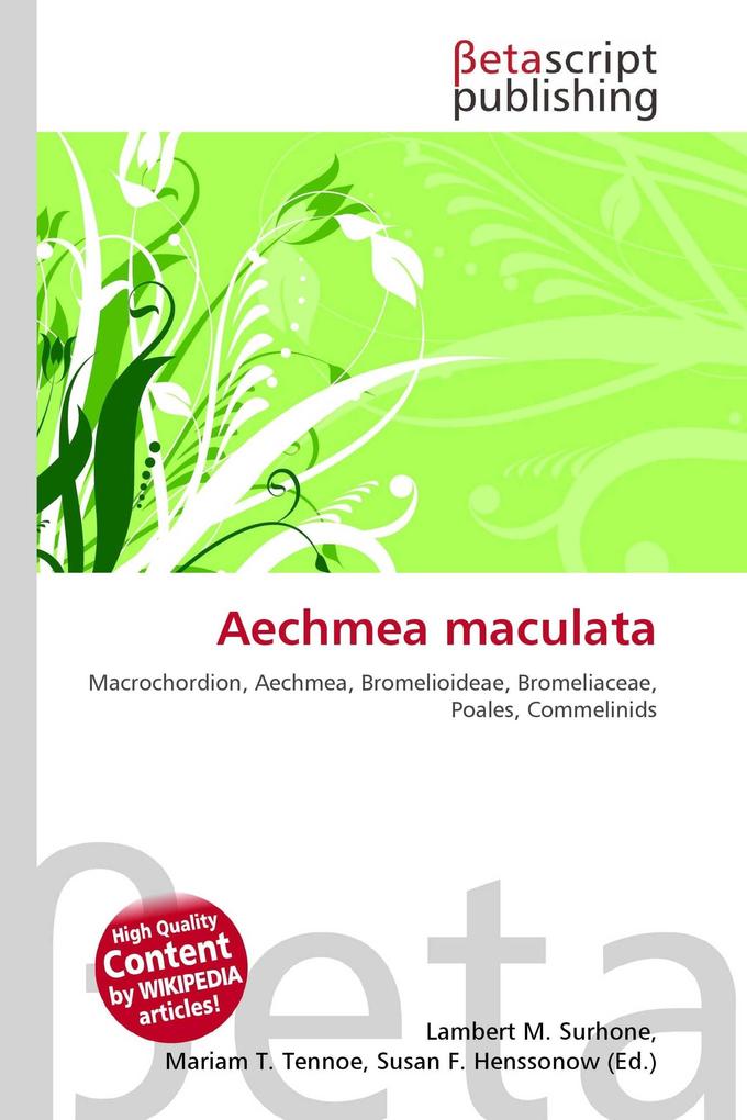 Aechmea maculata