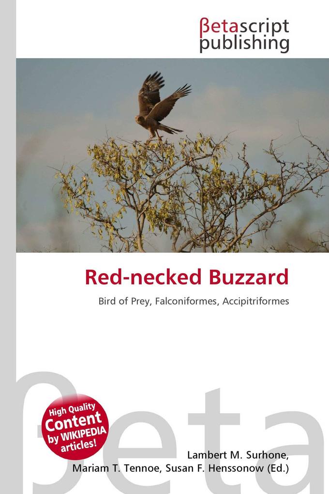 Red-necked Buzzard