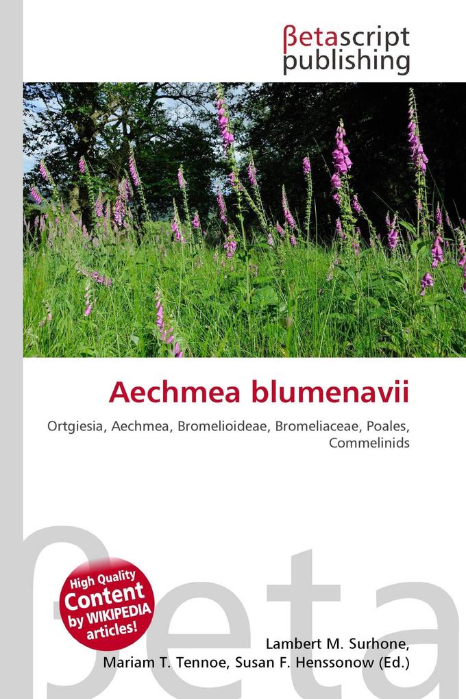 Aechmea blumenavii
