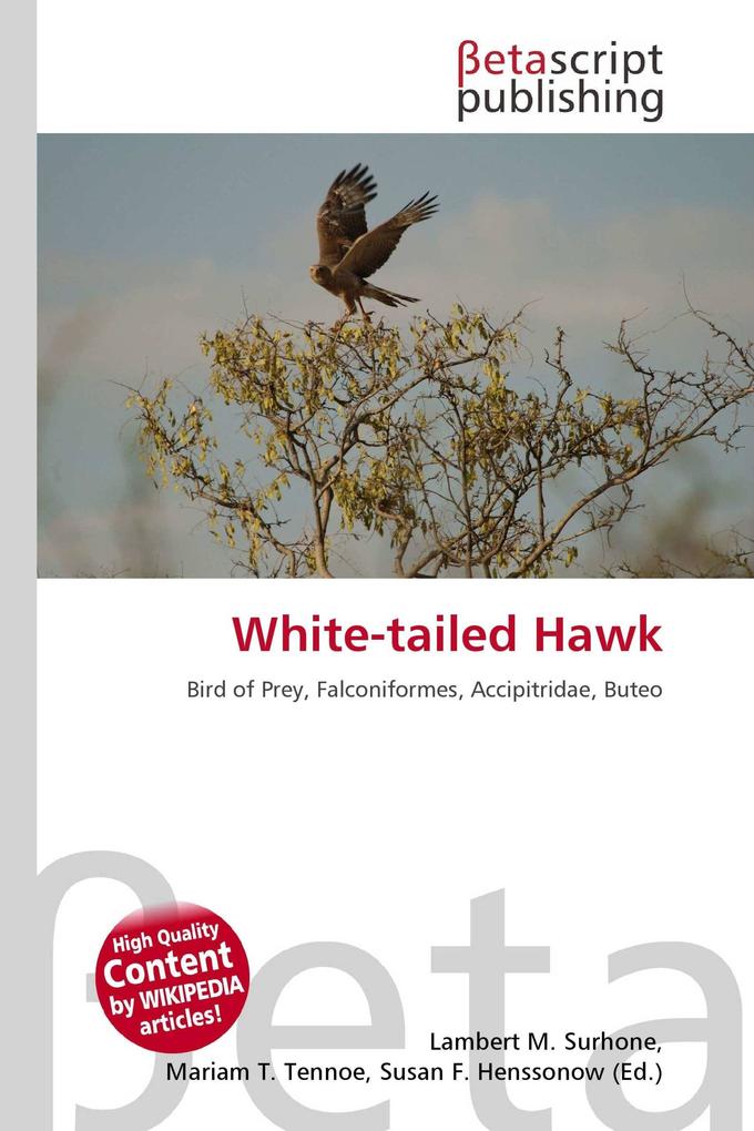 White-tailed Hawk