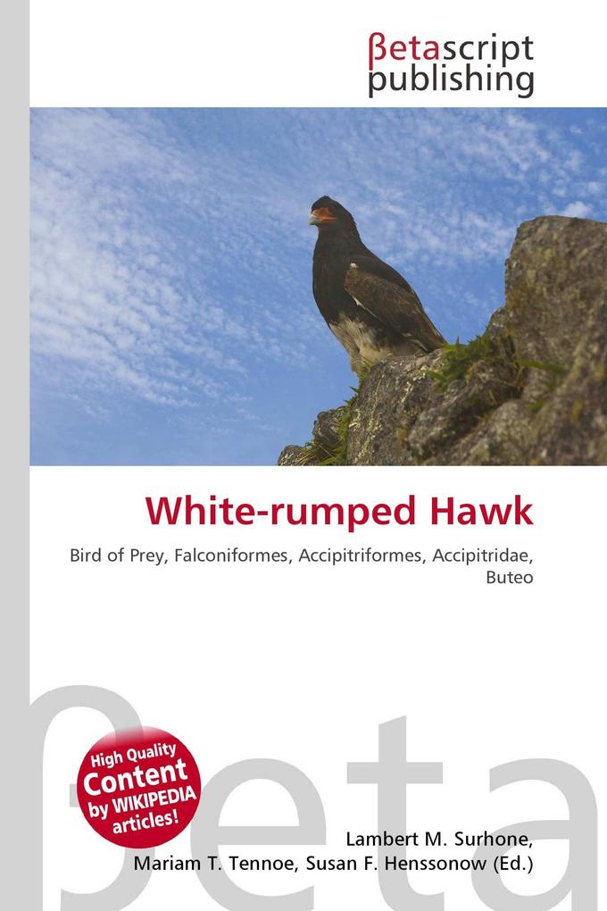 White-rumped Hawk