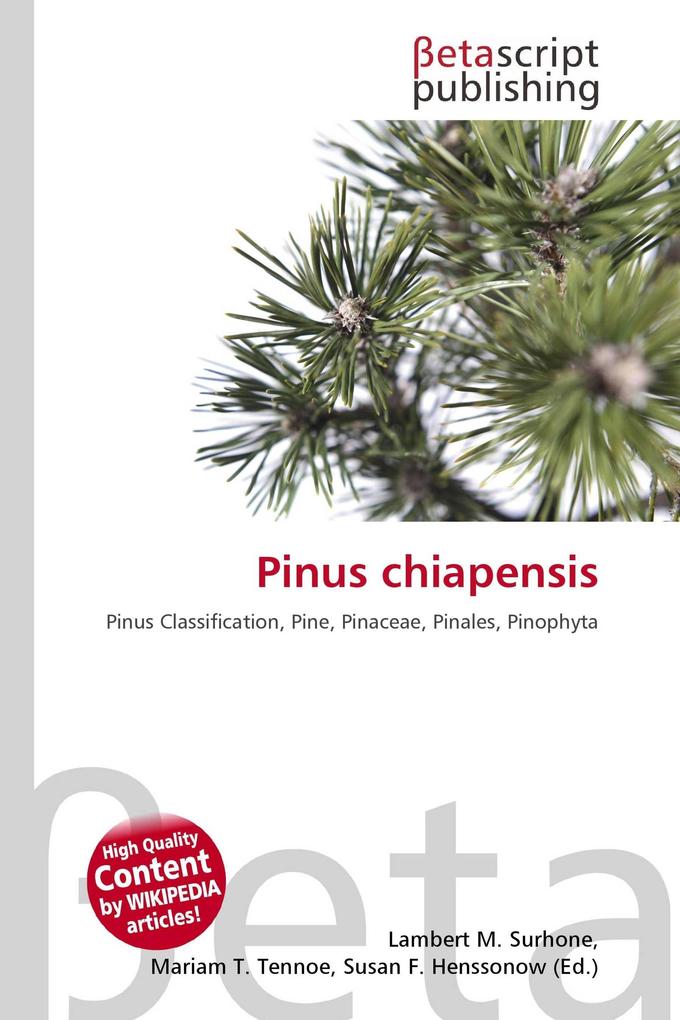 Pinus chiapensis