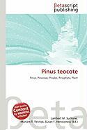 Pinus teocote
