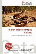 Indian White-rumped Vulture