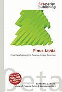 Pinus taeda
