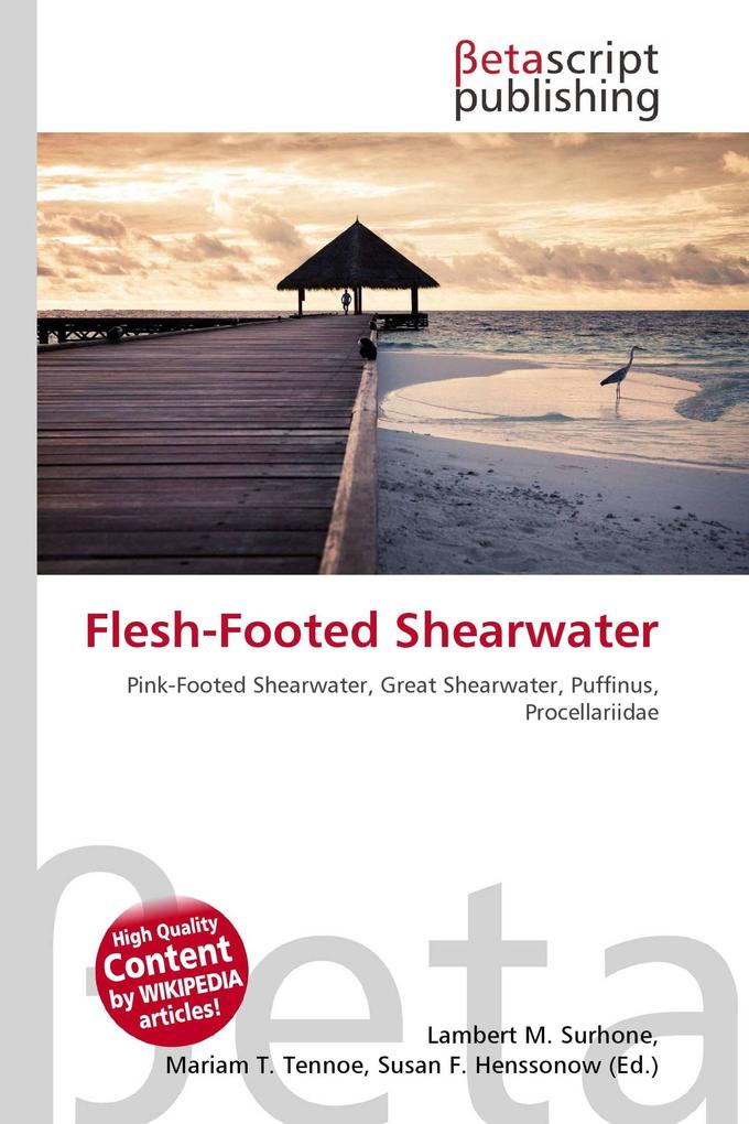 Flesh-Footed Shearwater