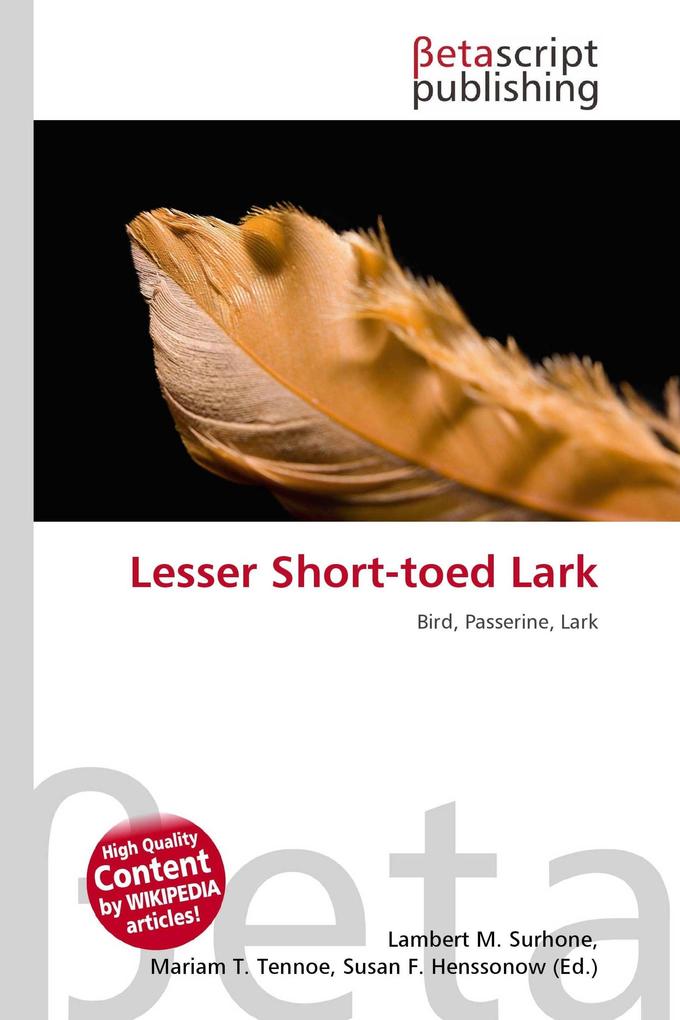 Lesser Short-toed Lark