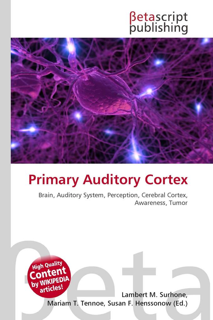 Primary Auditory Cortex