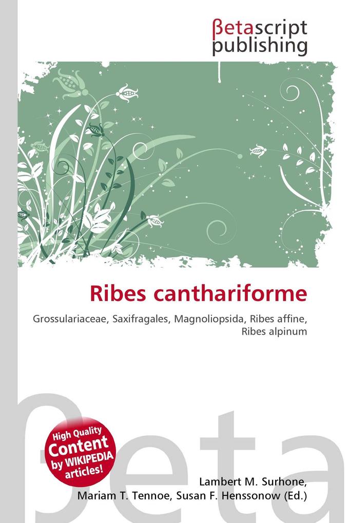 Ribes canthariforme