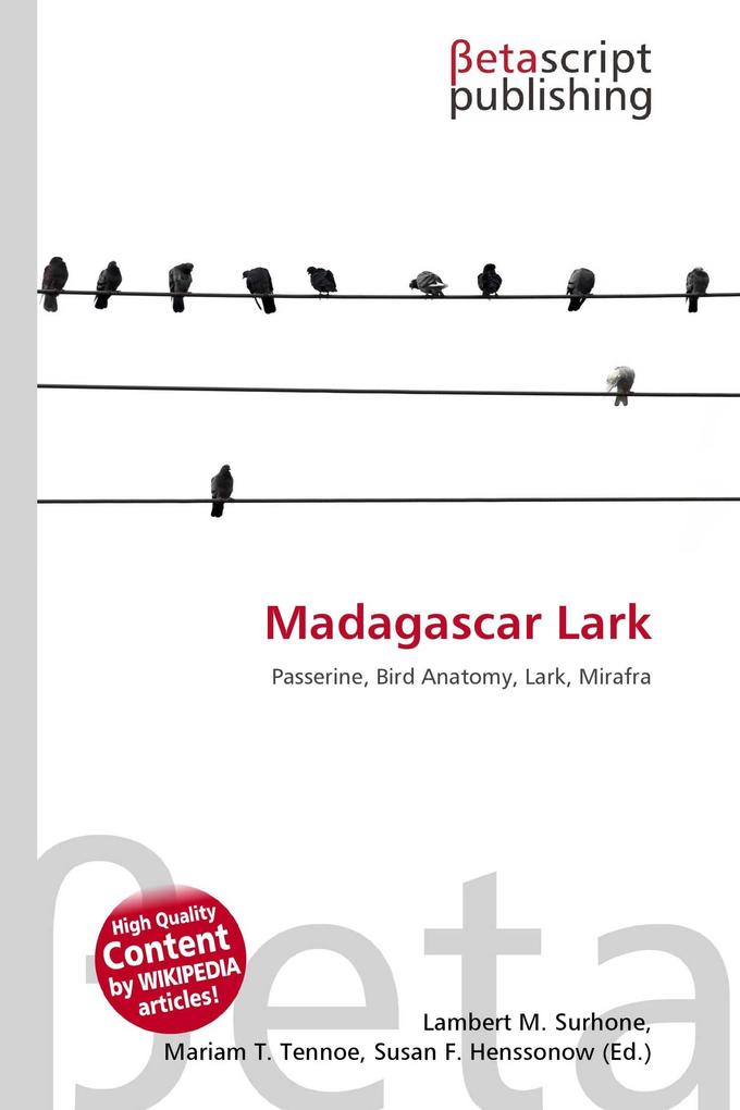 Madagascar Lark