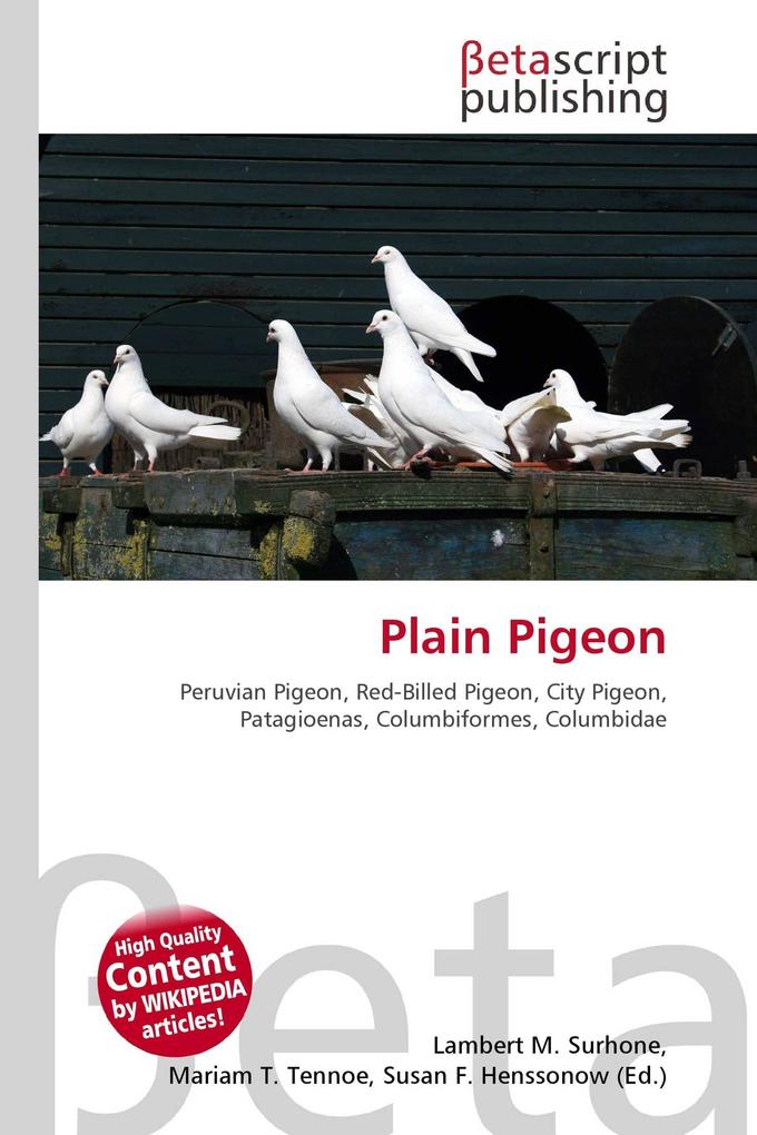 Plain Pigeon