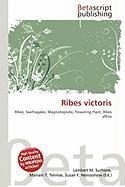 Ribes victoris