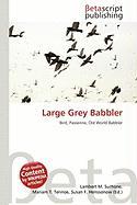 Large Grey Babbler