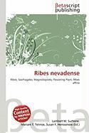 Ribes nevadense