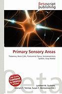 Primary Sensory Areas